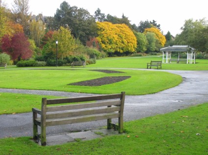 valley_of_the_bench_in_the_park_182742